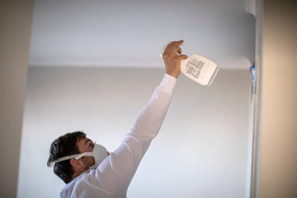 Best Post-Flood Mold Remediation in Standish, MI